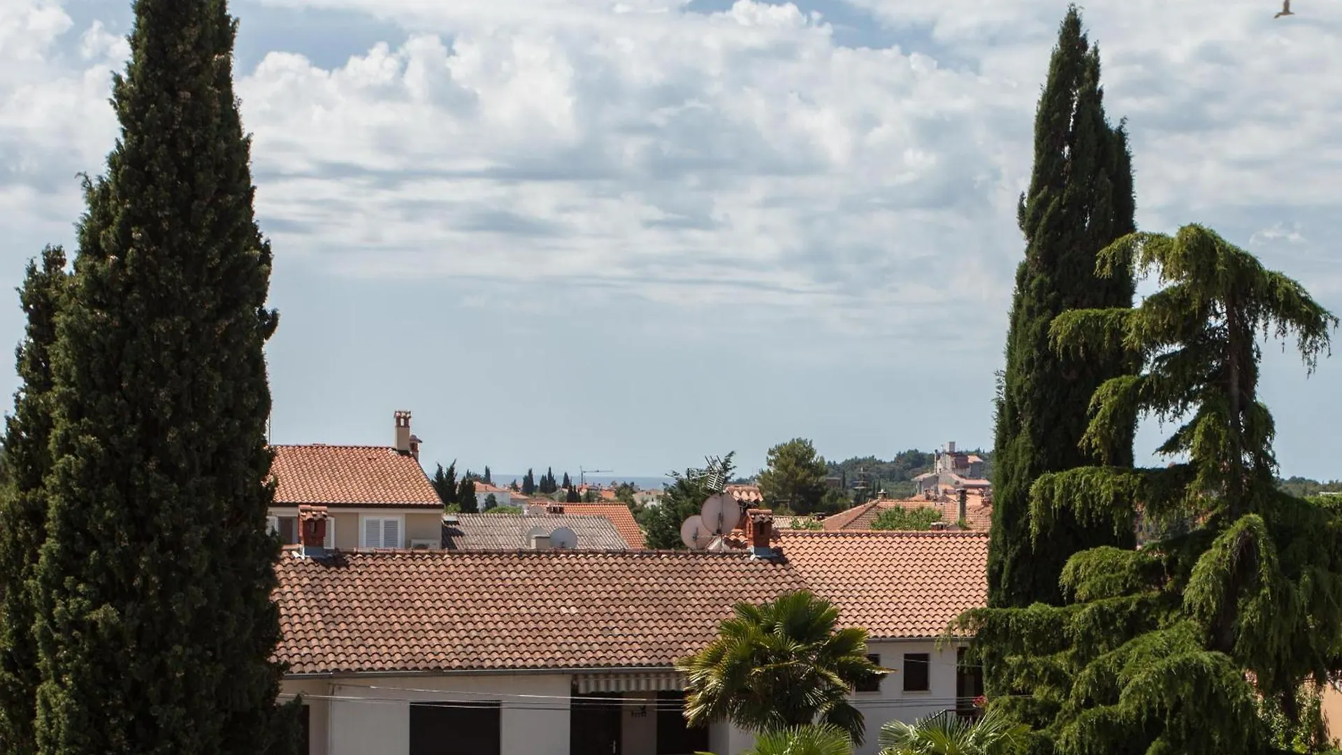 Apartments Tijana Ρόβινι